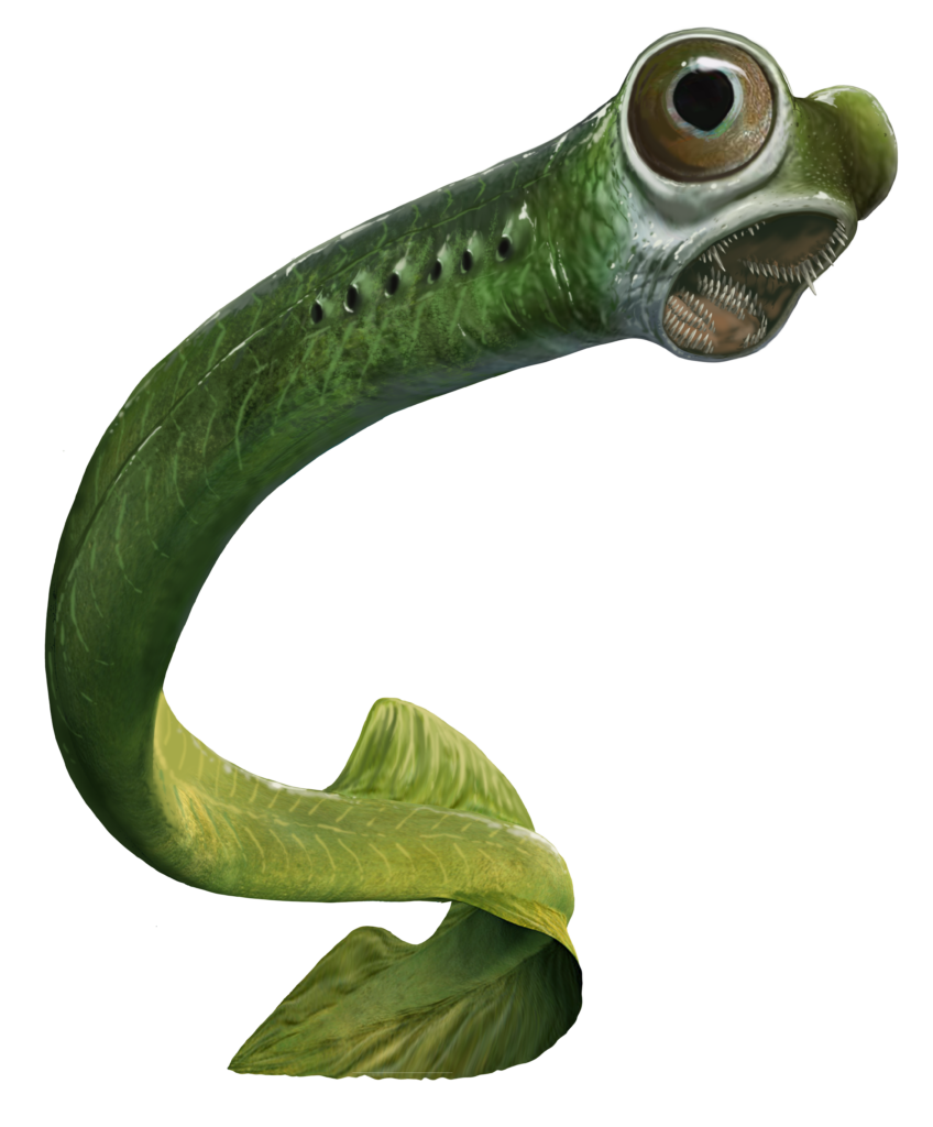 Credits Davide Bonadonna